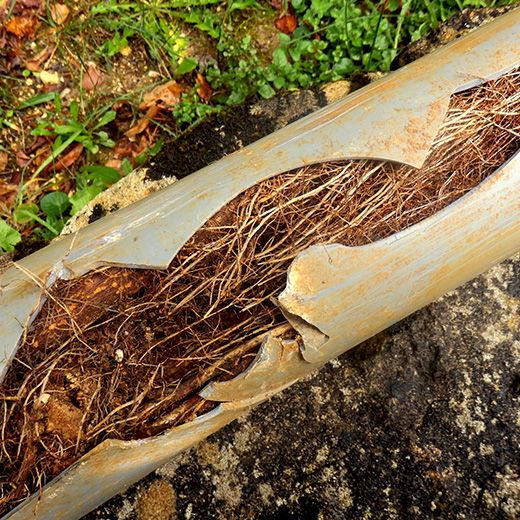 Same Day Drain Sewer & Rooter Pros Across Chichester